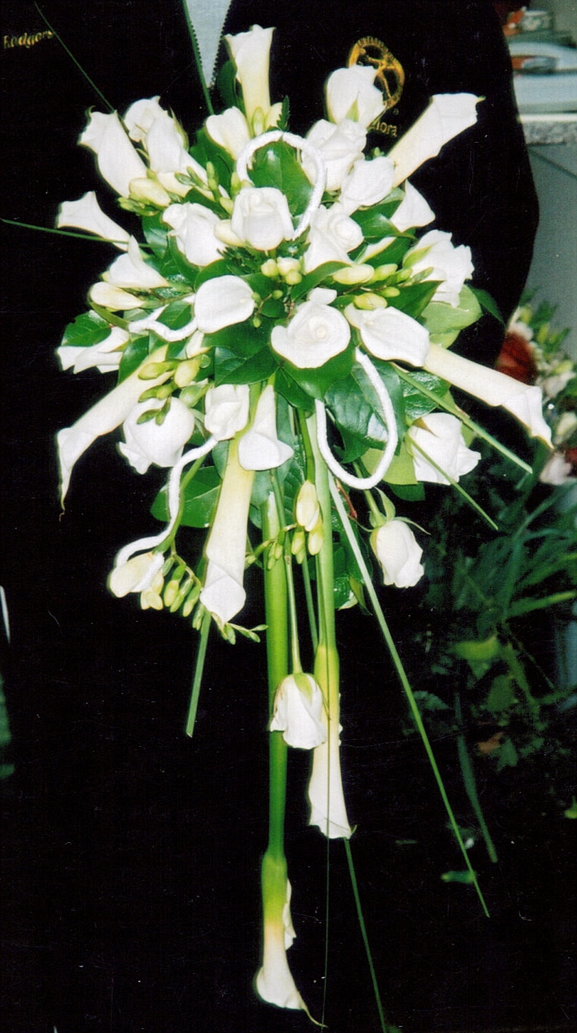 webpics059.jpg